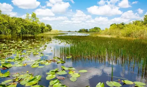 Where to kayak camp near me